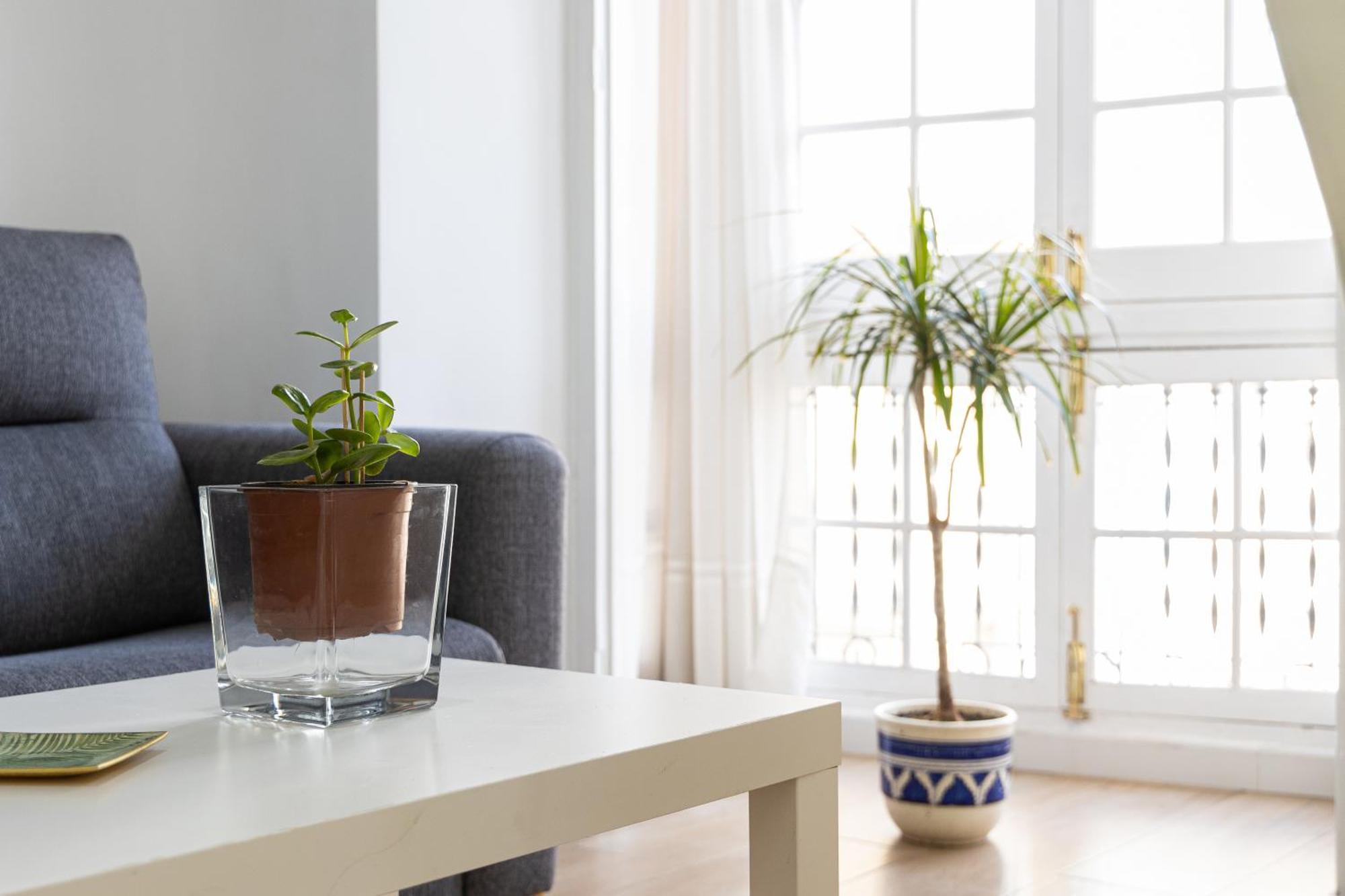 Apartamento Jacaranda 말라가 외부 사진